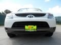 2008 Stone White Hyundai Veracruz GLS  photo #9