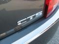 Thunder Gray Chromaflair - CTS Sedan Photo No. 47