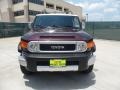 Black Cherry Pearl - FJ Cruiser  Photo No. 8