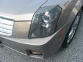 Radiant Bronze - CTS Sedan Photo No. 39