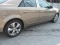 Radiant Bronze - CTS Sedan Photo No. 43