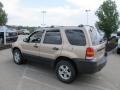 2007 Dune Pearl Metallic Ford Escape XLT V6 4WD  photo #8