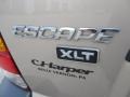 Dune Pearl Metallic - Escape XLT V6 4WD Photo No. 9