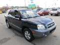 2005 Moonlit Blue Hyundai Santa Fe GLS 4WD  photo #9