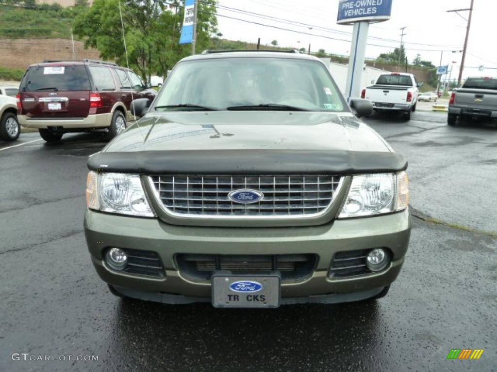 2004 Explorer XLT 4x4 - Estate Green Metallic / Medium Parchment photo #5
