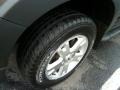 Dark Stone Metallic - Explorer Sport Trac XLT 4x4 Photo No. 15