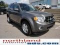 2012 Sterling Gray Metallic Ford Escape XLT 4WD  photo #2