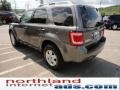 2012 Sterling Gray Metallic Ford Escape XLT 4WD  photo #6