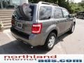 Sterling Gray Metallic - Escape XLT 4WD Photo No. 8