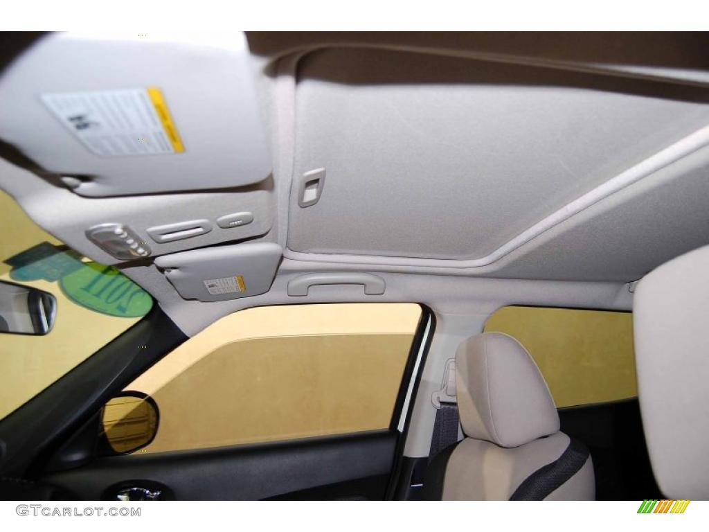 Nissan juke sunroof #3