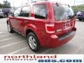 Toreador Red Metallic - Escape XLT 4WD Photo No. 6