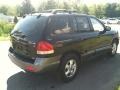Black Obsidian - Santa Fe GLS 4WD Photo No. 4