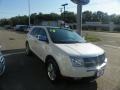 2010 White Platinum Tri-Coat Lincoln MKX AWD  photo #12