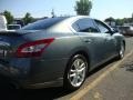 2010 Ocean Gray Nissan Maxima 3.5 SV Sport  photo #7