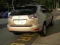 2004 Savannah Beige Metallic Lexus RX 330 AWD  photo #8