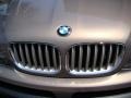 2004 Kalahari Beige Metallic BMW X5 4.4i  photo #39