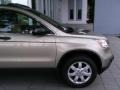 Borrego Beige Metallic - CR-V EX Photo No. 28