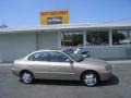 2006 Champagne Beige Hyundai Elantra GLS Sedan  photo #2