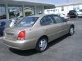 2006 Champagne Beige Hyundai Elantra GLS Sedan  photo #7