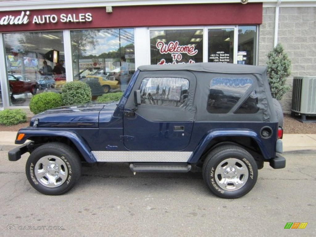 1997 Wrangler SE 4x4 - Dark Blue Pearl / Gray photo #2