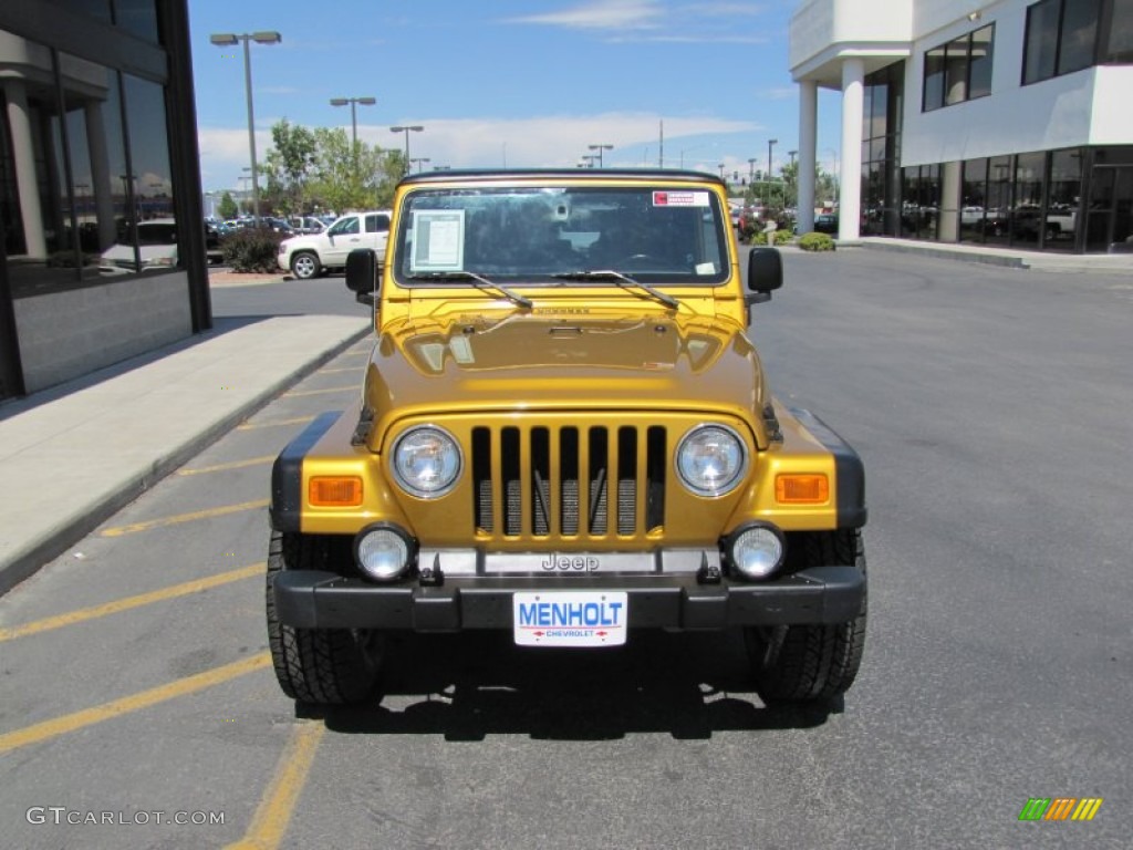 2003 Wrangler Rubicon 4x4 - Inca Gold Metallic / Dark Slate Gray photo #22