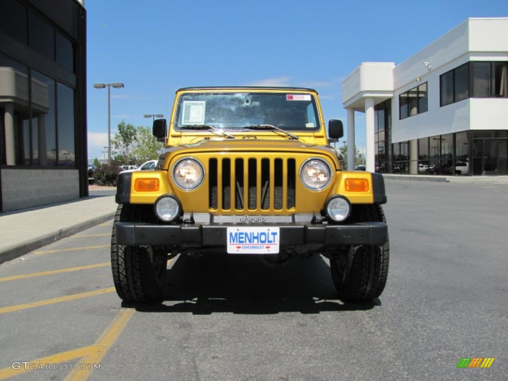 2003 Wrangler Rubicon 4x4 - Inca Gold Metallic / Dark Slate Gray photo #23