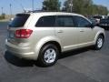 2010 White Gold Dodge Journey SE  photo #4