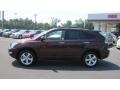 2008 Brandywine Mica Lexus RX 350  photo #2