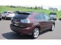 2008 Brandywine Mica Lexus RX 350  photo #5