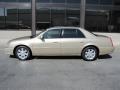 Light Cashmere Metallic - DTS  Photo No. 2