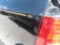Ebony Black - Sorento LX Photo No. 42