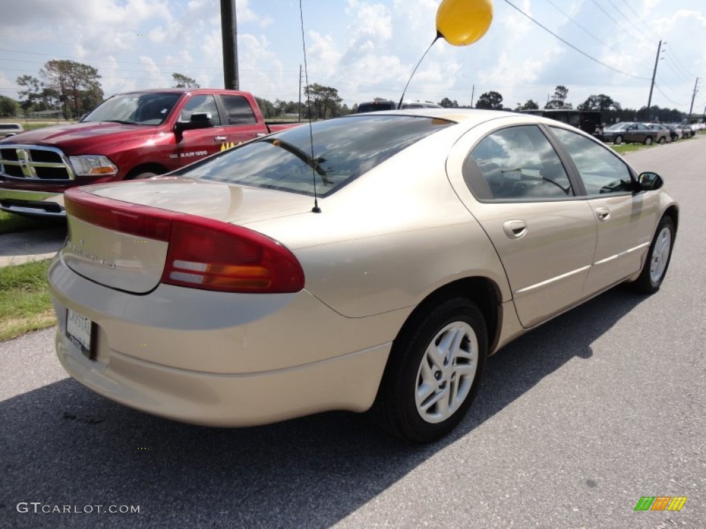 2000 Intrepid  - Champagne Pearl Metallic / Camel Tan photo #10
