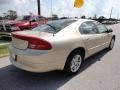 2000 Champagne Pearl Metallic Dodge Intrepid   photo #10