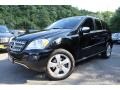 Black - ML 350 4Matic Photo No. 1