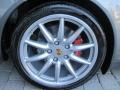 Meteor Grey Metallic - 911 Carrera S Coupe Photo No. 11