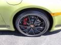 2012 Porsche Cayman R Wheel and Tire Photo