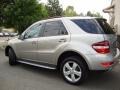 Pewter Metallic - ML 350 4Matic Photo No. 2