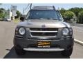 Granite Metallic - Xterra XE 4x4 Photo No. 30