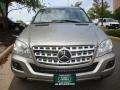 Pewter Metallic - ML 350 4Matic Photo No. 12