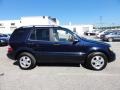 Capri Blue Metallic - ML 320 4Matic Photo No. 7