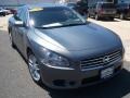 Ocean Gray - Maxima 3.5 SV Photo No. 3