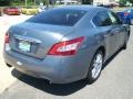 Ocean Gray - Maxima 3.5 SV Photo No. 4