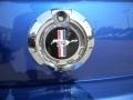 2009 Vista Blue Metallic Ford Mustang V6 Coupe  photo #17
