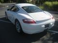 Carrara White - Cayman  Photo No. 11
