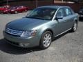 Titanium Green Metallic - Taurus Limited Photo No. 18