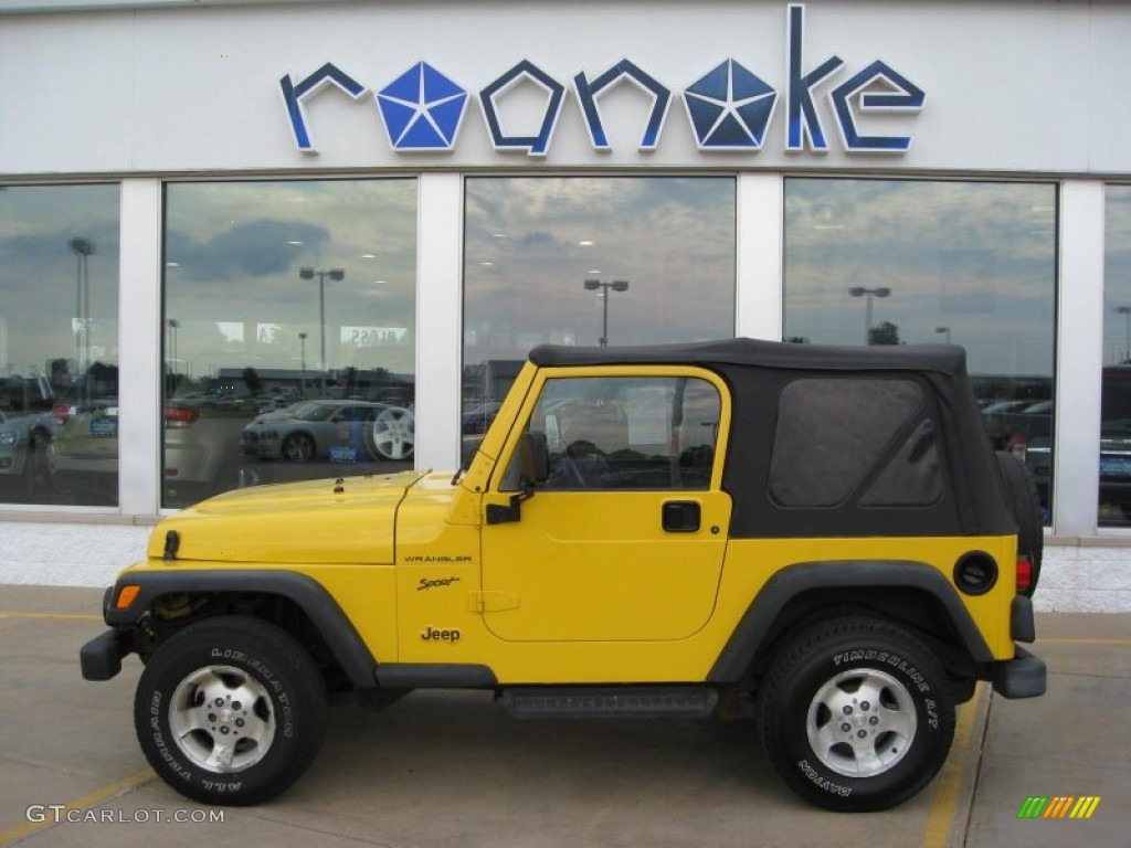 2002 Wrangler Sport 4x4 - Solar Yellow / Agate Black photo #7