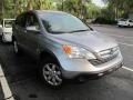 Whistler Silver Metallic - CR-V EX-L Photo No. 1