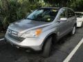 Whistler Silver Metallic - CR-V EX-L Photo No. 4