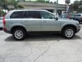 Willow Green Metallic - XC90 3.2 Photo No. 6