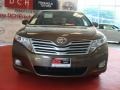 Golden Umber Mica - Venza V6 AWD Photo No. 2